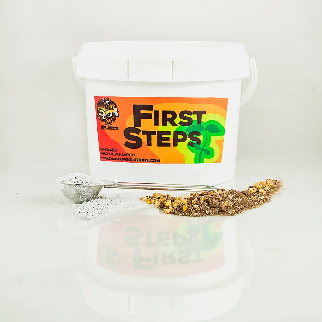 First Steps - SWA